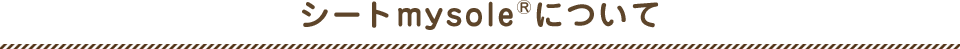 シートmysole&reg;について About Seat mysole