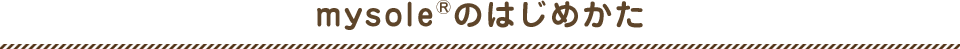 mysole&reg;のはじめかた How To Begin